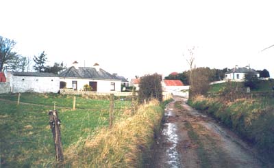 Lisnagroobe image &copy;Christopher Connolly 2001