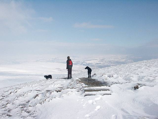 Fleet, Michael and Derek &copy; Lesley Close 2005