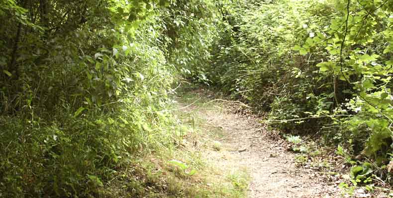 Grims path &copy;Lesley Close 2003