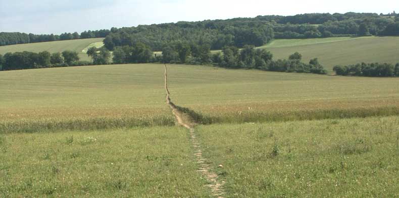 Wheatfield track ©Lesley Close 2003