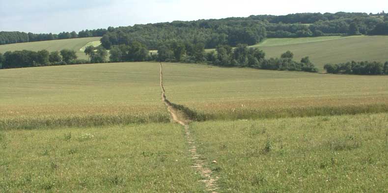 Wheatfield track &copy;Lesley Close 2003