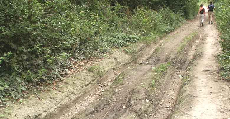 Wheel ruts on the Ridgeway footpath &copy;Lesley Close 2003
